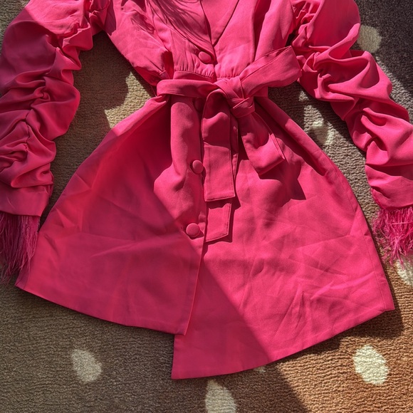 Pink Blazer Dress with Feathers - Picture 3 of 10